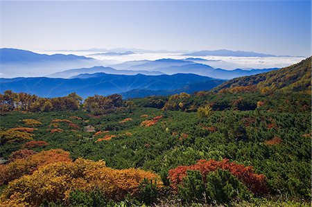 simsearch:859-07283230,k - A Field Of Clouds And Mountain Range, Nagano, Japan Stock Photo - Rights-Managed, Code: 859-07284238