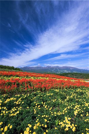 simsearch:859-07283230,k - Mt. Nasu From Nasu Flower World, Tochigi, Japan Stock Photo - Rights-Managed, Code: 859-07284302