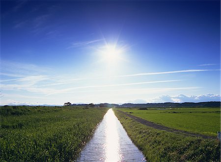 pictures of agriculture in asia - Kurihara, Miyagi, Japan Stock Photo - Rights-Managed, Code: 859-07284335