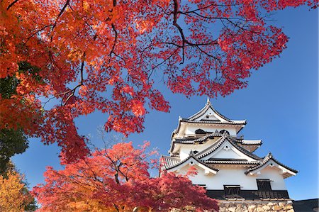 simsearch:859-07284196,k - Hikone Castle, Shiga, Japan Stock Photo - Rights-Managed, Code: 859-07284491
