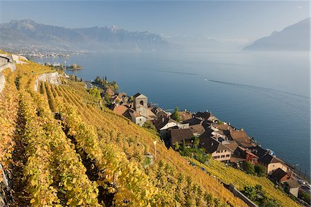 simsearch:859-07283694,k - Saint Saphorin, Lavaux, Switzerland Stock Photo - Rights-Managed, Code: 859-07283137