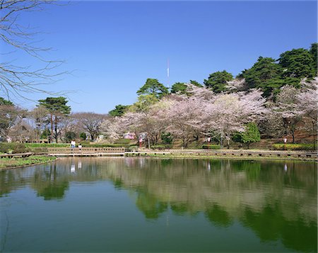 simsearch:859-07284196,k - Karasugamori Park, Tochigi, Japan Stock Photo - Rights-Managed, Code: 859-07283256