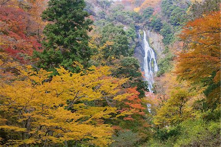 Kanba Falls, Okayama, Japan Stock Photo - Rights-Managed, Code: 859-07283739