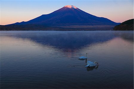 simsearch:859-07495596,k - Swans and Mount Fuji Stock Photo - Rights-Managed, Code: 859-07310770