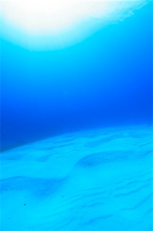 Underwater Stock Photo - Rights-Managed, Code: 859-07356559