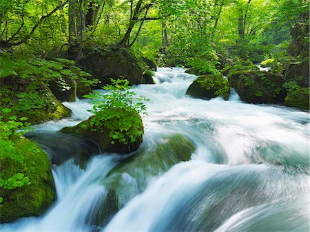 simsearch:859-07442165,k - Oirase mountain stream, Aomori Prefecture Stock Photo - Rights-Managed, Code: 859-07441600