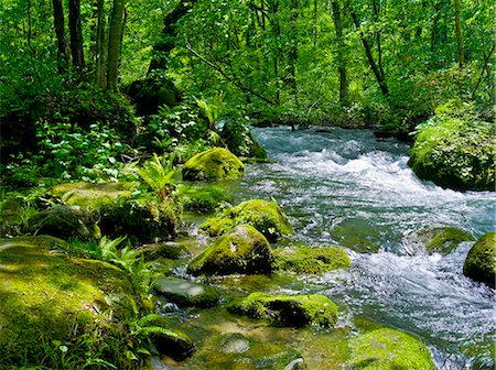 Oirase mountain stream, Aomori Prefecture Stock Photo - Rights-Managed, Code: 859-07495132