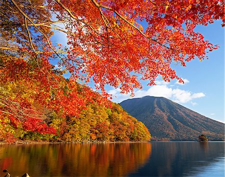 fall trees lake - Autumn colors, Japan Stock Photo - Rights-Managed, Code: 859-07495595