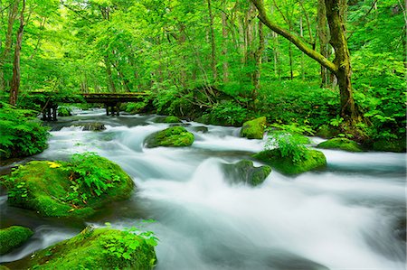 forest bridge - Aomori Prefecture, Japan Stock Photo - Rights-Managed, Code: 859-07635806