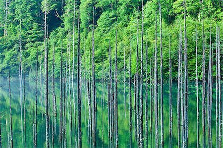 Nagano Prefecture, Japan Foto de stock - Con derechos protegidos, Código: 859-07635849
