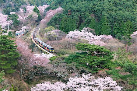 railway japan photography - Ibaraki Prefecture, Japan Stock Photo - Rights-Managed, Code: 859-07783244