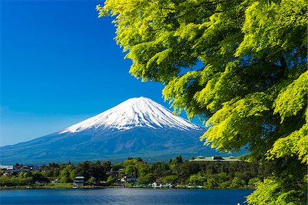 simsearch:859-07495596,k - Yamanashi Prefecture, Japan Stock Photo - Rights-Managed, Code: 859-07783368