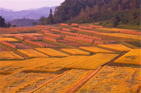 elevated view of lawnmower - Yamagata Prefecture, Japan Stock Photo - Rights-Managed, Code: 859-07783632