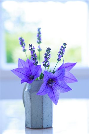 purple floral arrangement - Flowers in a vase Stock Photo - Rights-Managed, Code: 859-07845926