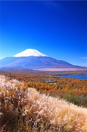 simsearch:859-07495596,k - Yamanashi Prefecture, Japan Stock Photo - Rights-Managed, Code: 859-08082219