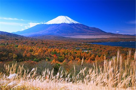simsearch:859-07495596,k - Yamanashi Prefecture, Japan Stock Photo - Rights-Managed, Code: 859-08082220