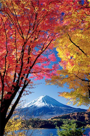 simsearch:859-07495596,k - Yamanashi Prefecture, Japan Stock Photo - Rights-Managed, Code: 859-08082327