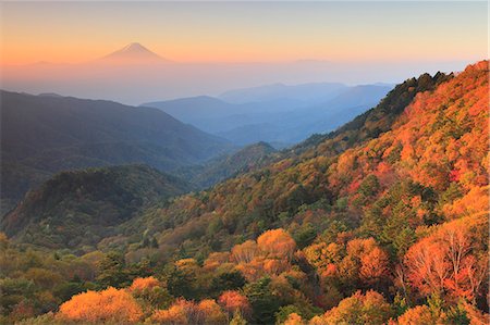 forest asia - Yamanashi Prefecture, Japan Stock Photo - Rights-Managed, Code: 859-08082606