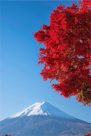 simsearch:859-07495596,k - Yamanashi Prefecture, Japan Stock Photo - Rights-Managed, Code: 859-08357944