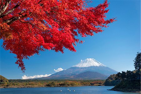 simsearch:859-07495596,k - Yamanashi Prefecture, Japan Stock Photo - Rights-Managed, Code: 859-08357943