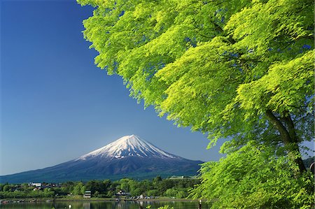 simsearch:859-07495596,k - Yamanashi Prefecture, Japan Stock Photo - Rights-Managed, Code: 859-08358115