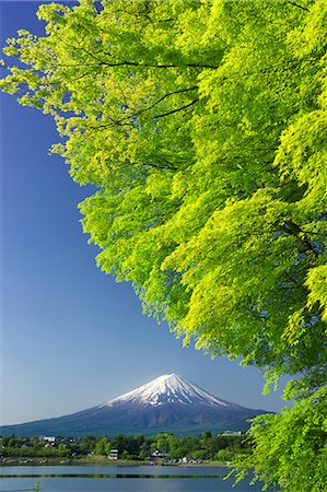 simsearch:859-07495596,k - Yamanashi Prefecture, Japan Stock Photo - Rights-Managed, Code: 859-08358116
