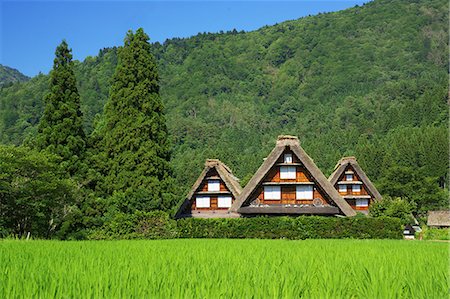 simsearch:622-06398585,k - Gifu Prefecture, Japan Photographie de stock - Rights-Managed, Code: 859-08358136