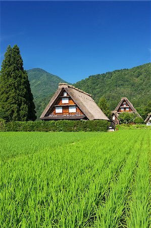 simsearch:622-06398585,k - Gifu Prefecture, Japan Photographie de stock - Rights-Managed, Code: 859-08358137