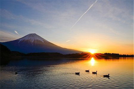 Shizuoka Prefecture, Japan Stock Photo - Rights-Managed, Code: 859-08359152