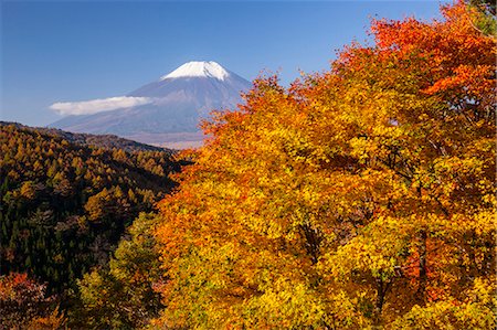 simsearch:859-07495596,k - Yamanashi Prefecture, Japan Stock Photo - Rights-Managed, Code: 859-08359165