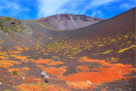 fuji-hakone-izu national park - Shizuoka Prefecture, Japan Stock Photo - Rights-Managed, Code: 859-08359421