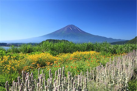 simsearch:859-08359600,k - Yamanashi Prefecture, Japan Photographie de stock - Rights-Managed, Code: 859-08359573