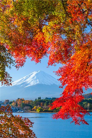 simsearch:859-07495596,k - Yamanashi Prefecture, Japan Stock Photo - Rights-Managed, Code: 859-08359658