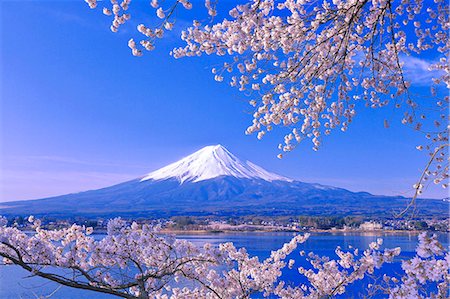 simsearch:859-07495596,k - Beautiful view of Mount Fuji Stock Photo - Rights-Managed, Code: 859-09104569