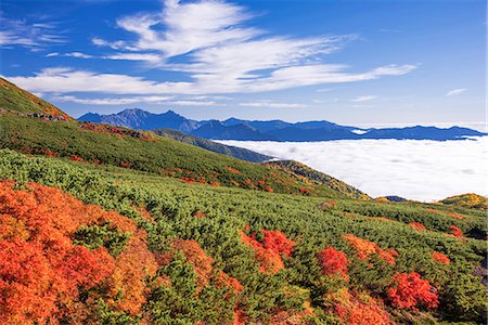 simsearch:859-03598857,k - Nagano Prefecture, Japan Stock Photo - Rights-Managed, Code: 859-09104816