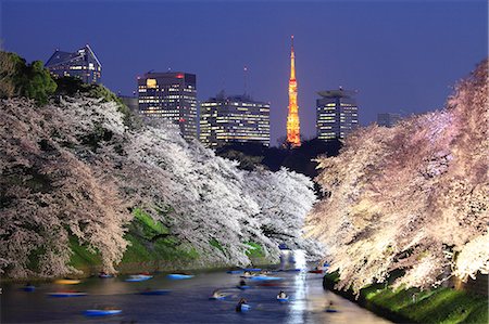 simsearch:859-06380299,k - Cherry blossoms at Chidorigafuchi moat, Tokyo, Japan Stock Photo - Rights-Managed, Code: 859-09104954