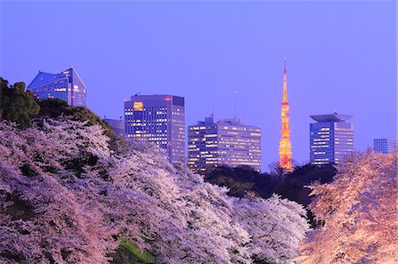 simsearch:859-06380299,k - Cherry blossoms at Chidorigafuchi moat, Tokyo, Japan Stock Photo - Rights-Managed, Code: 859-09104955