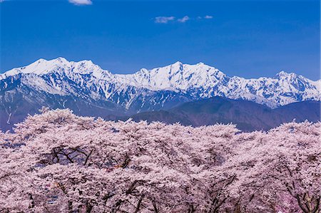 Nagano Prefecture, Japan Stock Photo - Rights-Managed, Code: 859-09105142