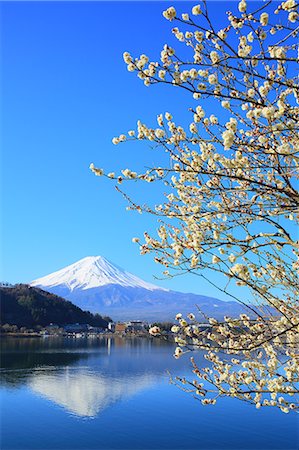 simsearch:859-07495596,k - Mount Fuji from Yamanashi Prefecture, Japan Stock Photo - Rights-Managed, Code: 859-09175035