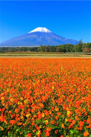 simsearch:859-07495596,k - Mount Fuji from Yamanashi Prefecture, Japan Stock Photo - Rights-Managed, Code: 859-09175468