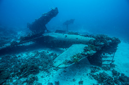 Underwater life Stock Photo - Rights-Managed, Code: 859-09192752