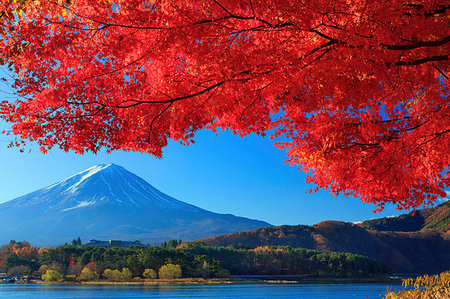 simsearch:859-07495596,k - Yamanashi Prefecture, Japan Stock Photo - Rights-Managed, Code: 859-09228427