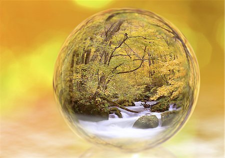 Forest and creek in sphere Stock Photo - Rights-Managed, Code: 859-03035872