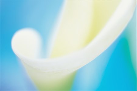simsearch:859-03036612,k - A White Lilly Stock Photo - Rights-Managed, Code: 859-03036598