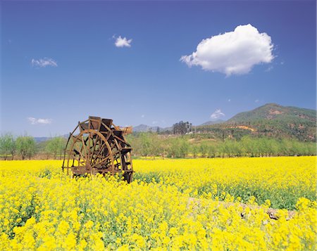 simsearch:859-03036612,k - Old Waterwheel In A Meadow Stock Photo - Rights-Managed, Code: 859-03036622