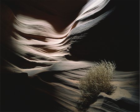 escalante wilderness - Inside canyon walls Stock Photo - Rights-Managed, Code: 859-03036880