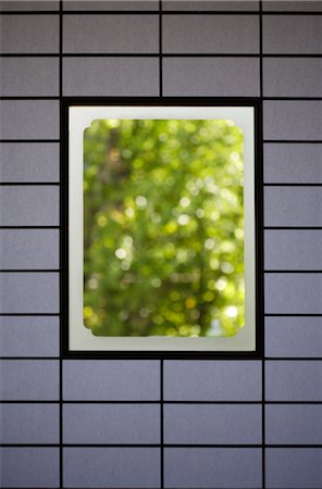 panelled wall - Blurred tree in frame Stock Photo - Rights-Managed, Code: 859-03037949