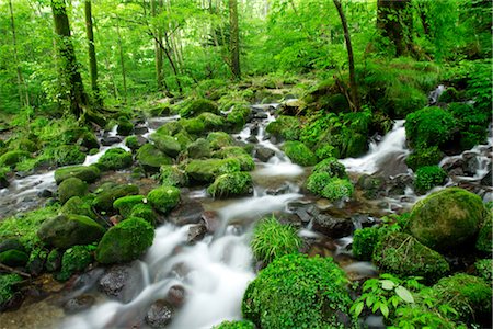 ecology water - River with Mossy Rocks Stock Photo - Rights-Managed, Code: 859-03039794