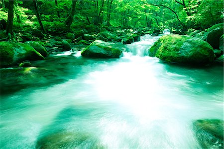 ecology water - River with Mossy Rocks Stock Photo - Rights-Managed, Code: 859-03039802