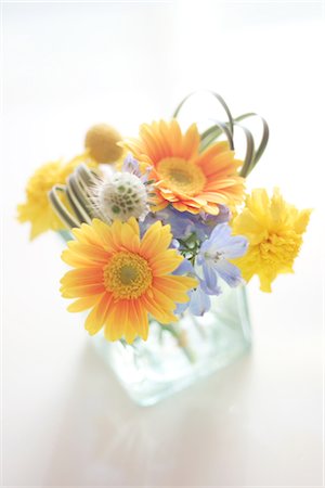 Orange Gerberas In A Glass Vase Stock Photo - Rights-Managed, Code: 859-03041528